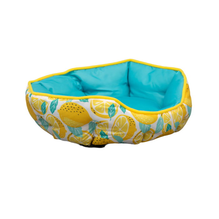 Hexagonal pet bed with lemon pattern and turquoise interior on a white background